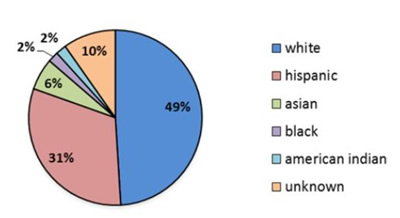 Figure 2: Student demographics by ethniticy in NMSU’s Engineering Physics program.